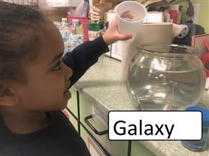 galaxy 